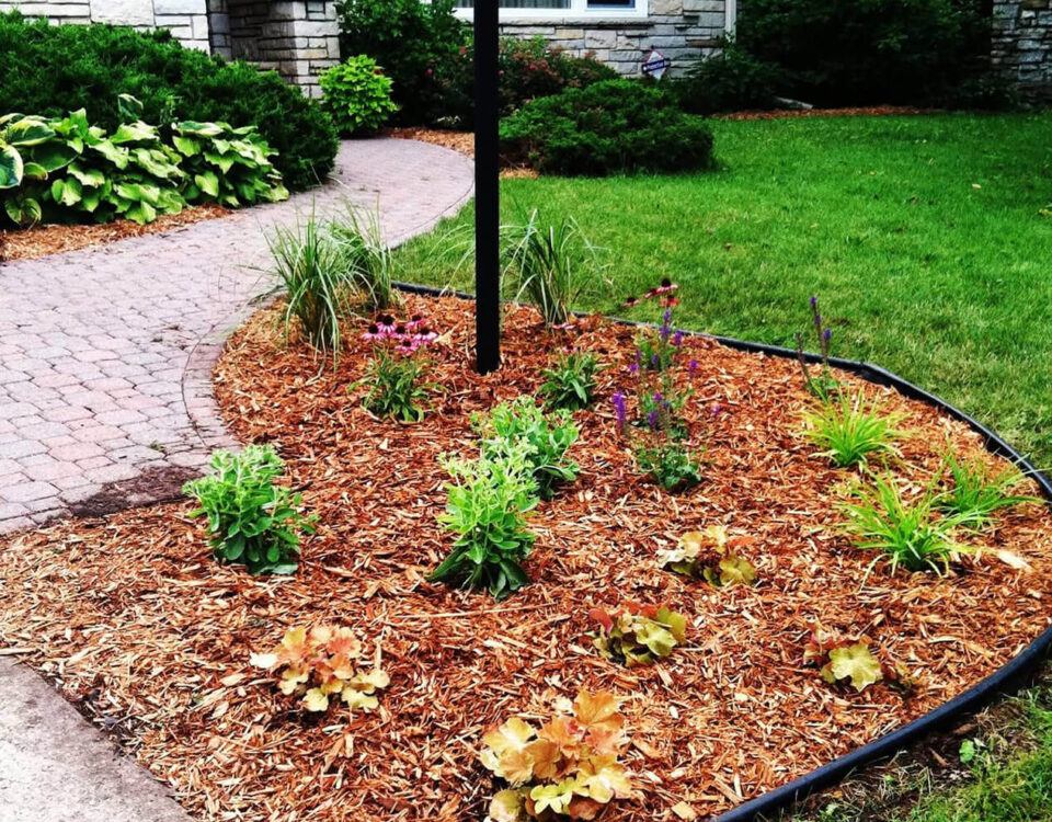 Softscape Minnetonka