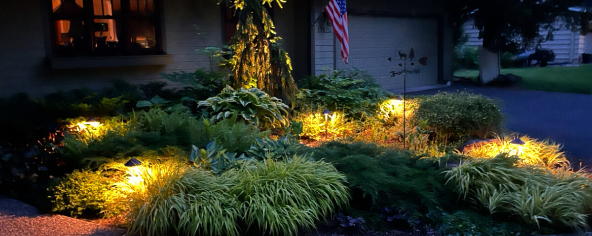 Landscape Lighting Minnetonka